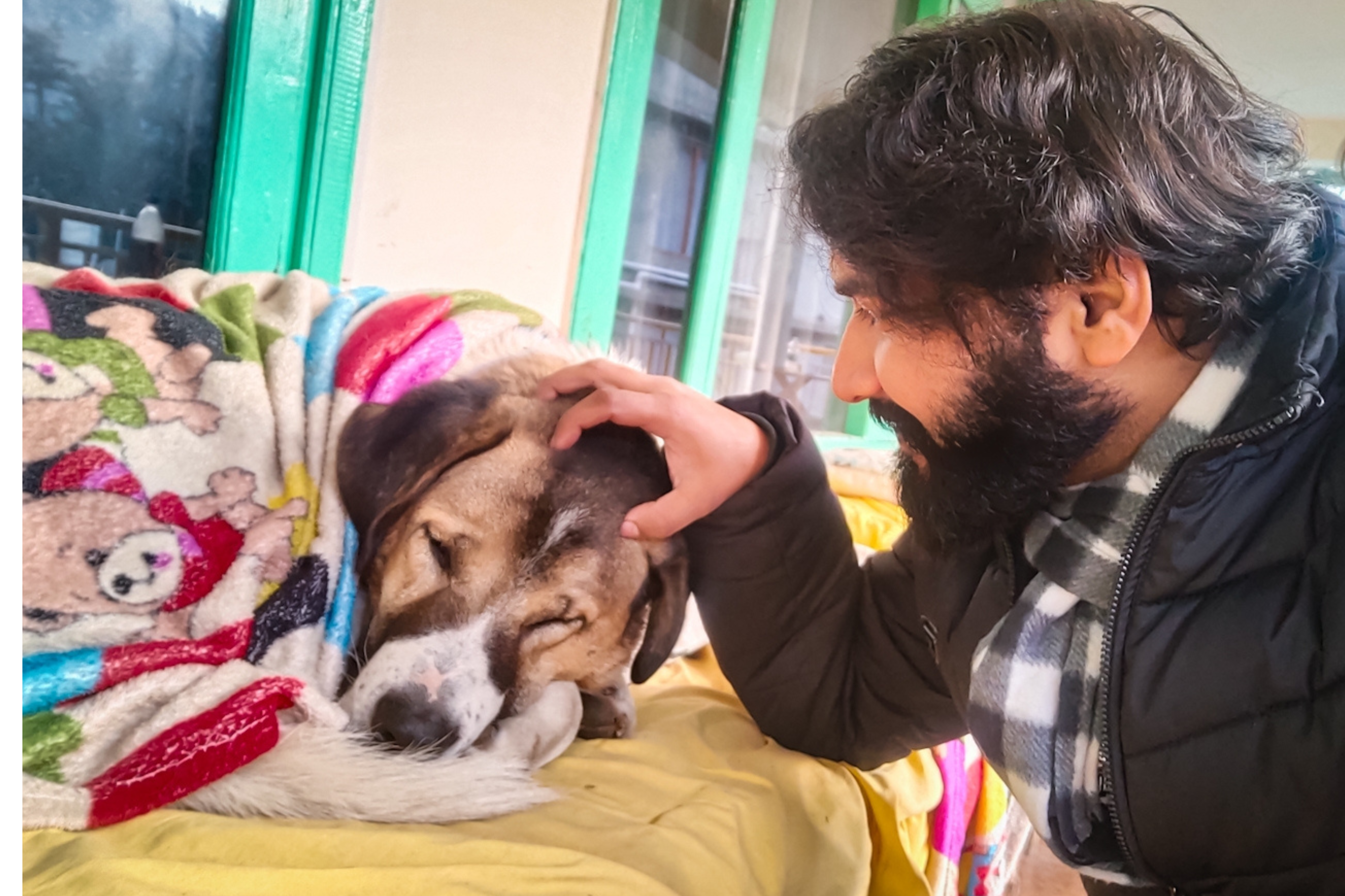 Safar Hostel old manali